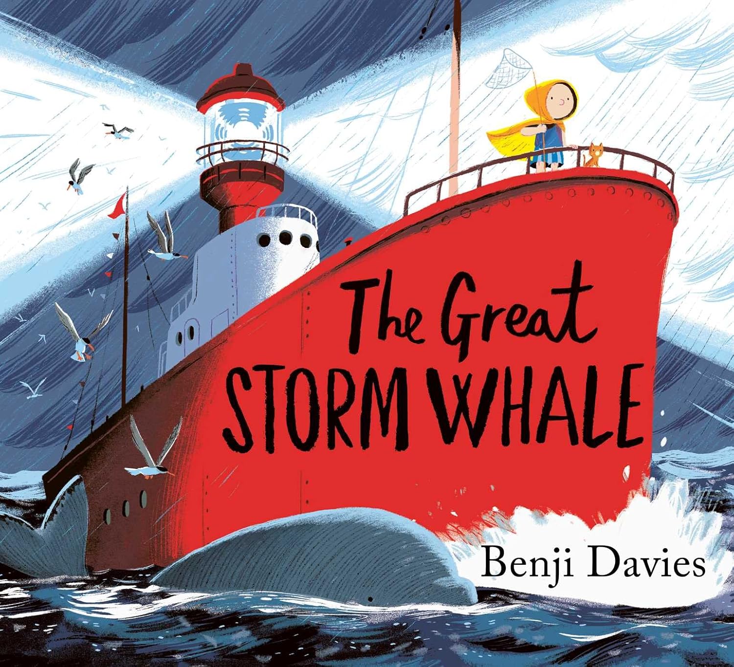 Storm Whale